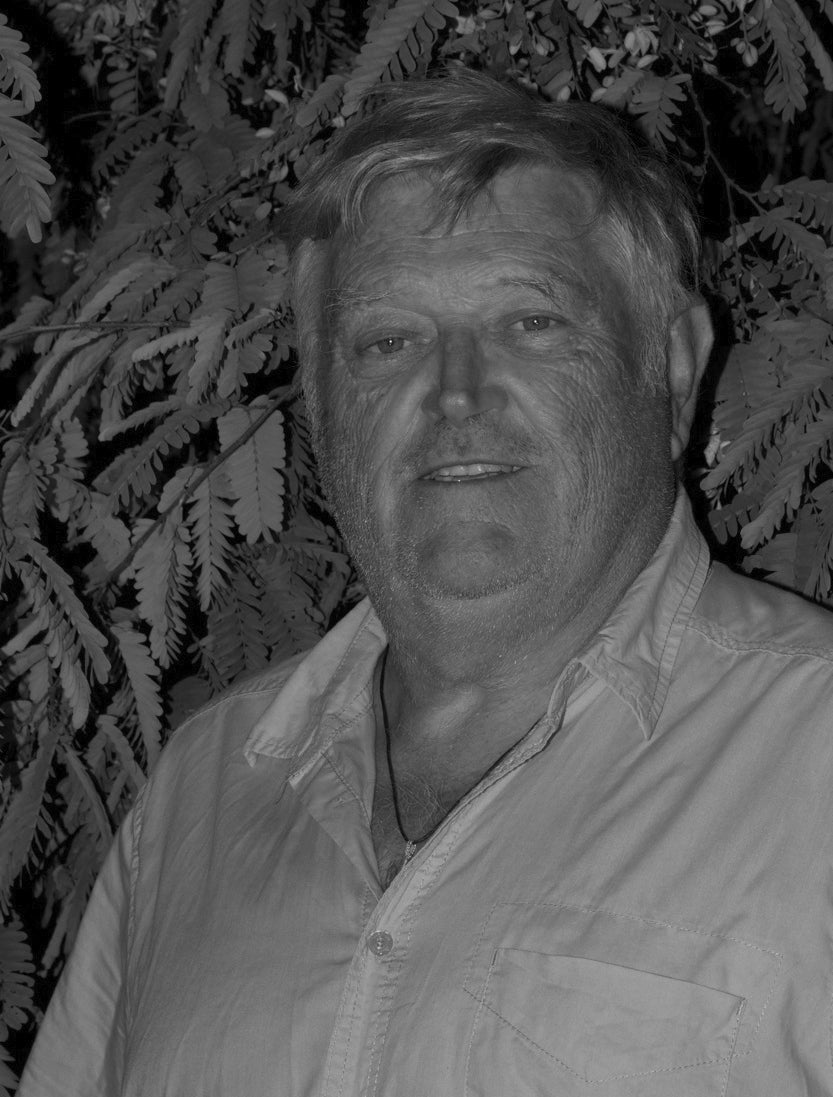 Diringer Alain