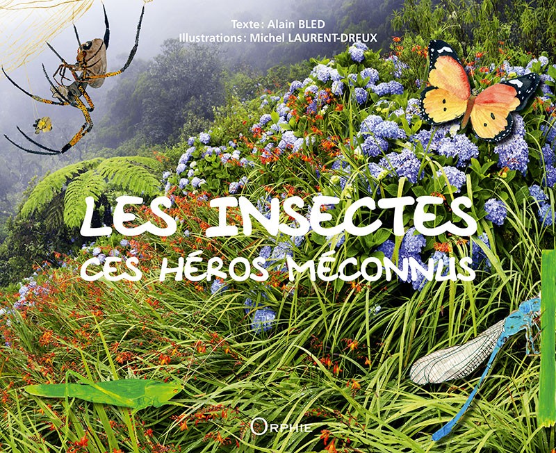 Les insectes ces héros méconnus
