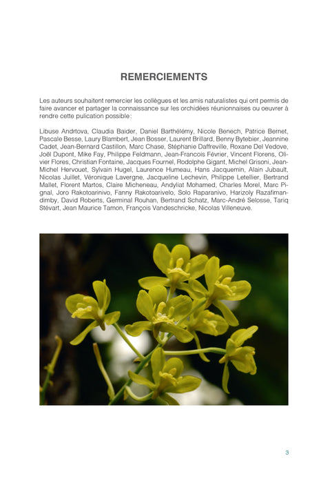 Orchidées de La Réunion