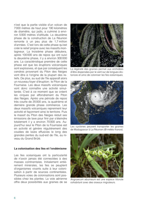 Orchidées de La Réunion