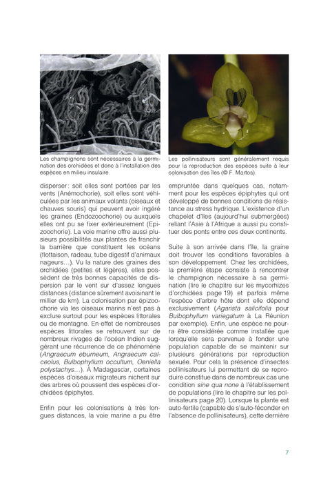 Orchidées de La Réunion