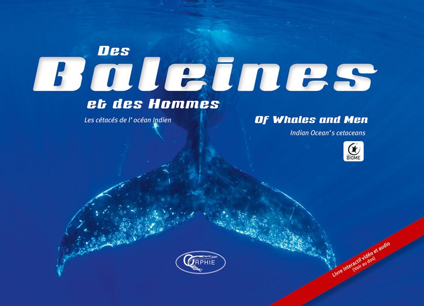 Des baleines et des hommes