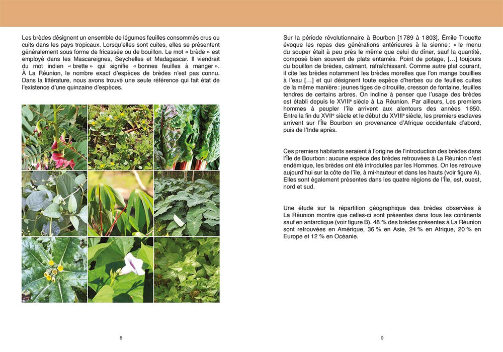 images brèdes - Editions Orphie