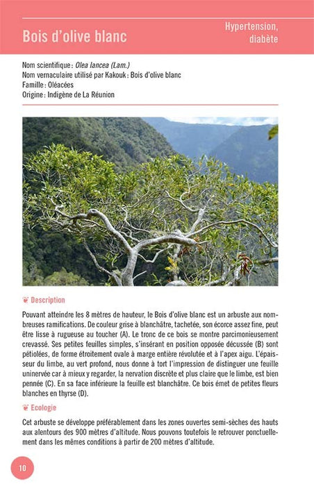 Embarquez pour les îles du salut - Editions Orphie