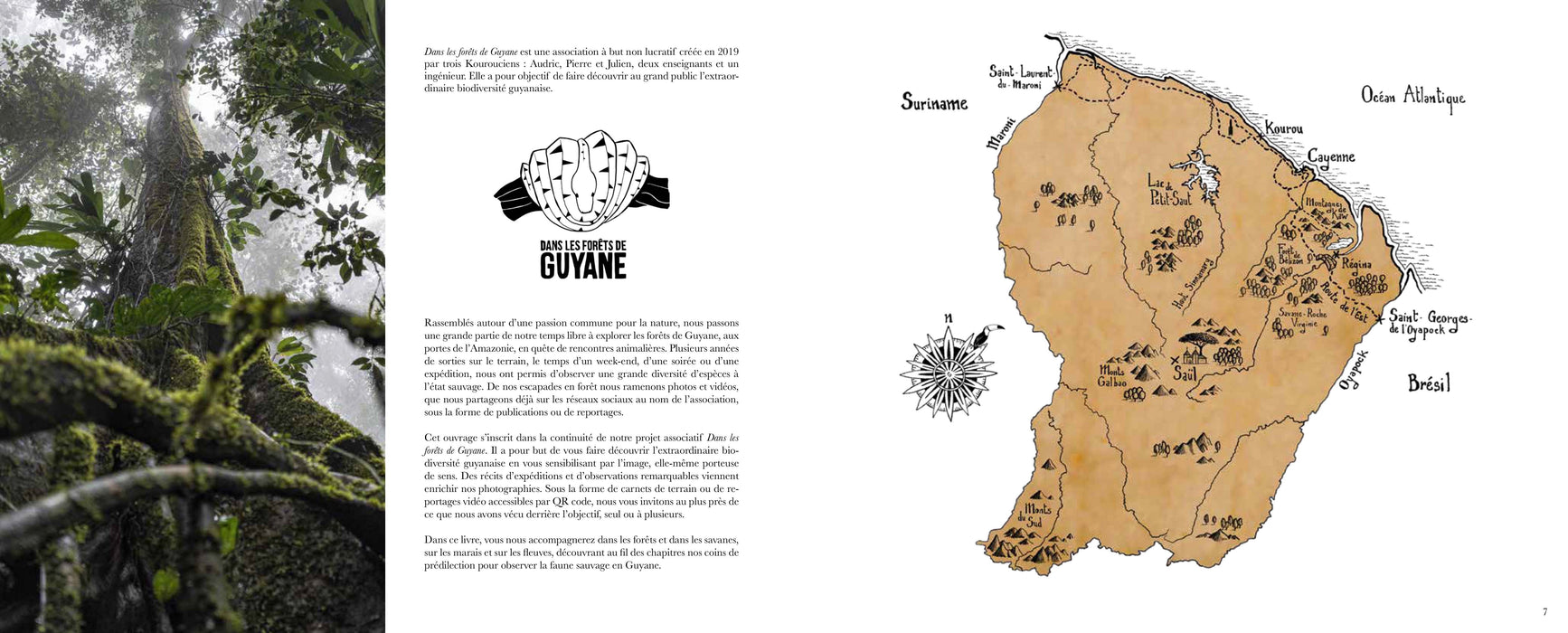 Dans les forêts de Guyane