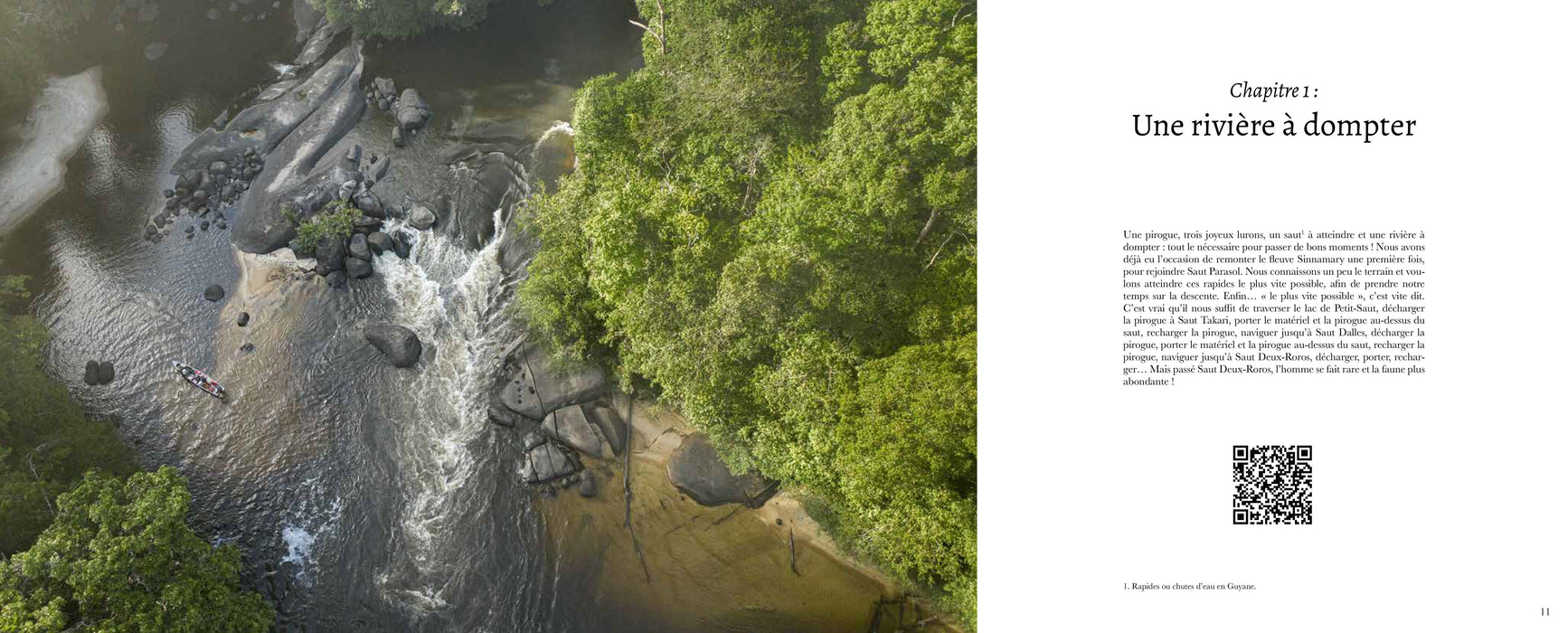 Dans les forêts de Guyane - Editions Orphie