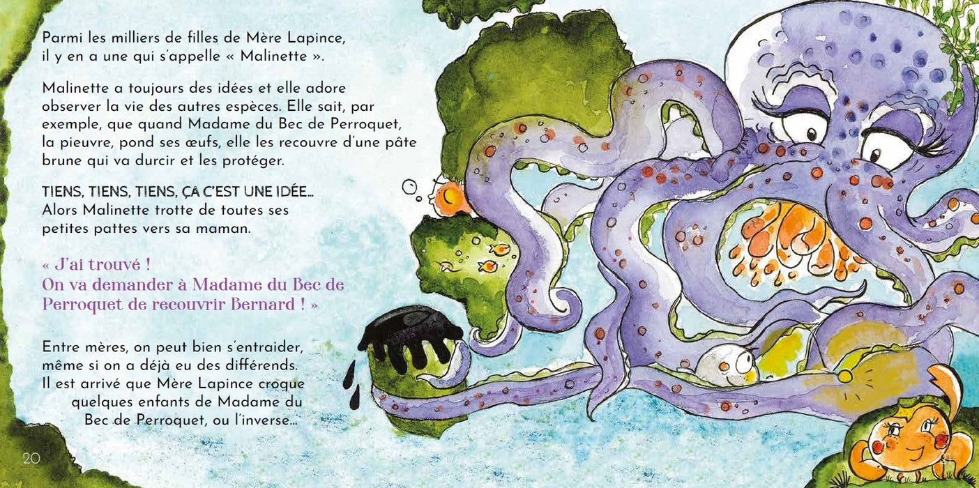 Bernard le petit crabe différent