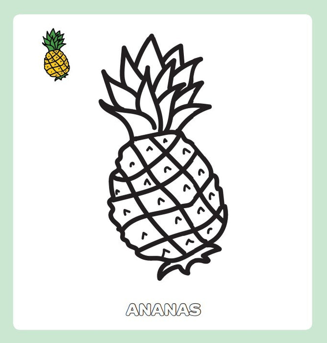 Maxi bloc à colorier - Les Antilles