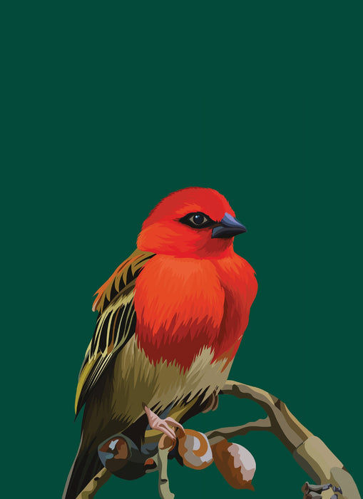 Carnet de notes - Cardinal