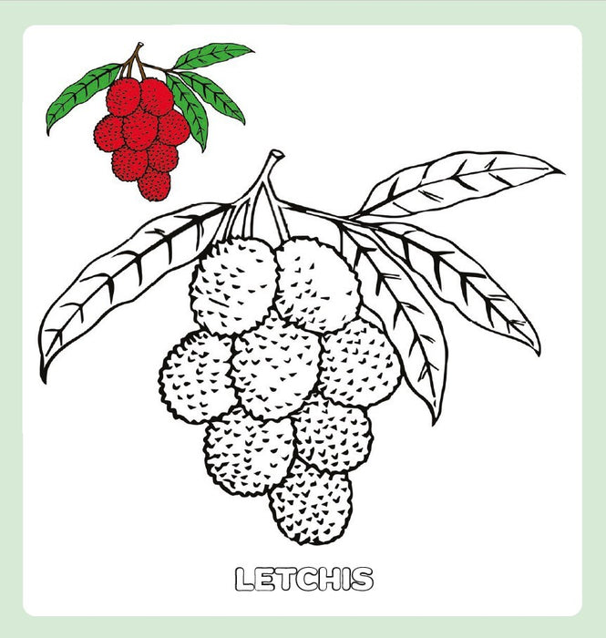 Maxi bloc à colorier - La Réunion I Éditions Orphie