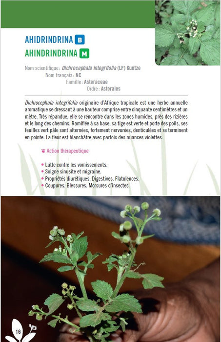 Une femme et des plantes I Éditions Orphie