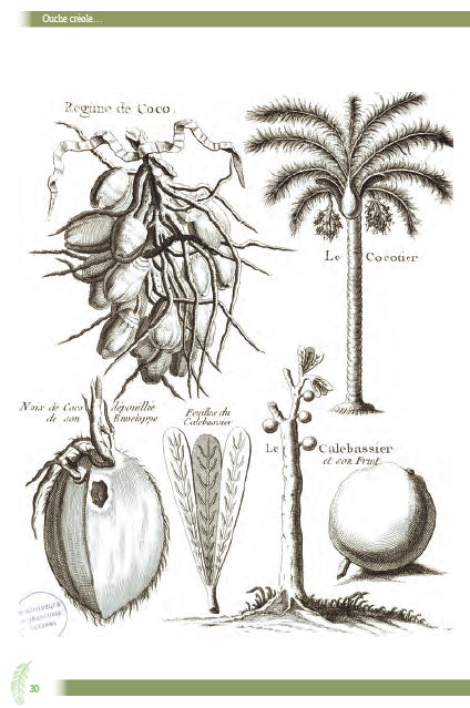 Int - Ouche créole | Éditions Orphie