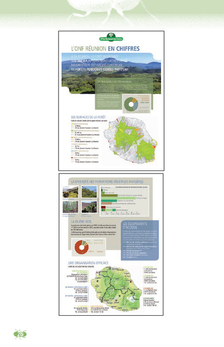 Couv Les Anthribidés de l'île de La Réunion | Éditions Orphie