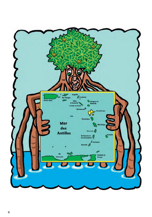 Palou - Le palétuvier des Caraïbes