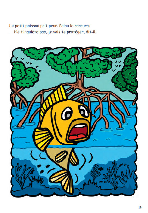 Palou - Le palétuvier des Caraïbes