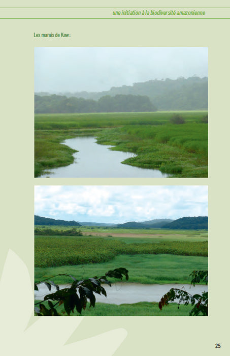 Guide pratique de terrain : Faune et flore en Guyane - Une initiation à la biodiversité amazonienne