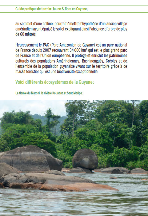 Guide pratique de terrain : Faune et flore en Guyane - Une initiation à la biodiversité amazonienne