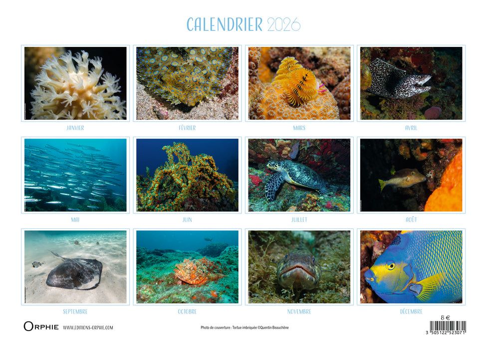 Sous les mers tropicales - 2026