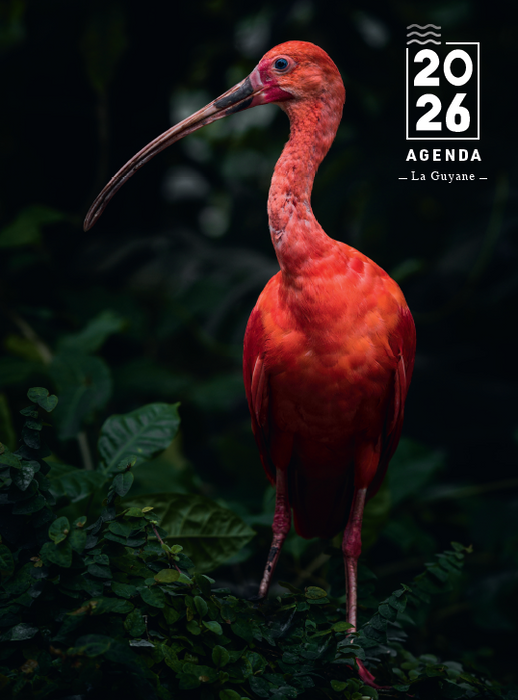 Agenda 2026 - Guyane