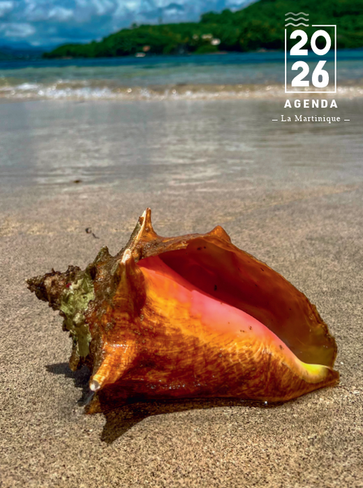 Agenda 2026 - Martinique