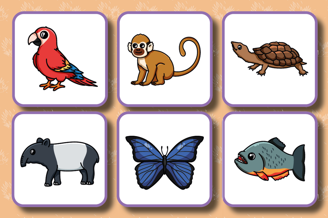 Loto - Les animaux de Guyane