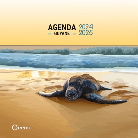 Agenda 18 mois - Juillet 2024 à décembre 2025 - Guyane