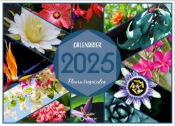 Calendrier 2025 - Fleurs tropicales I Éditions Orphie