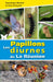 Les papillons diurnes de la Réunion
