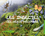 Les insectes ces héros méconnus
