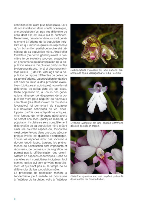 Orchidées de La Réunion