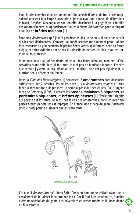 Brèdes à cuisiner