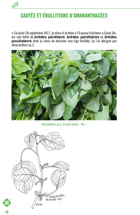 Brèdes à cuisiner
