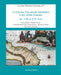 Le Jeune Historien Guyanais n°9 - Editions Ibis rouge