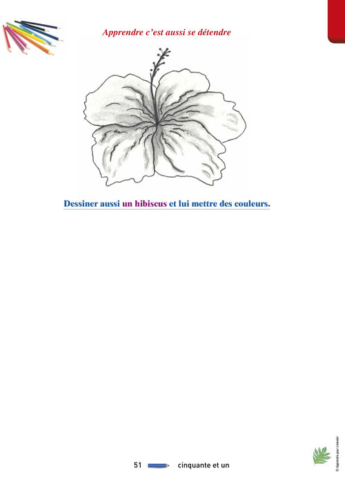 Apprendre pour s'envoler - Editions Orphie