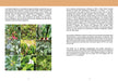 images brèdes - Editions Orphie