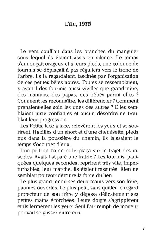 Du vent dans le manguier - Editions Orphie