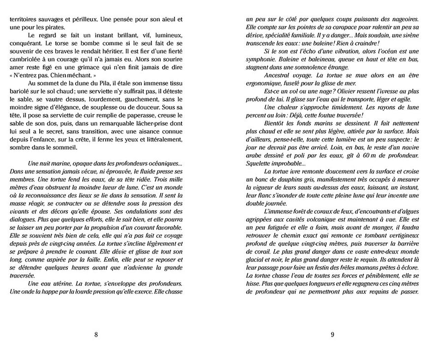 Un ours sur la plage - Editions Orphie