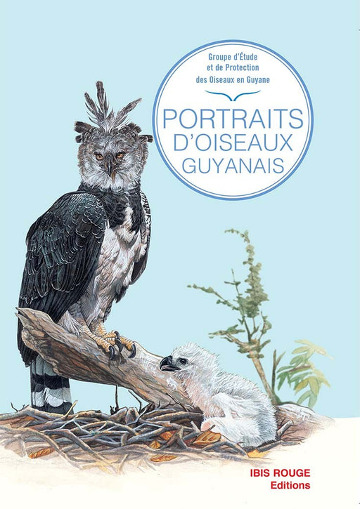 Portraits d'oiseaux - Ibis rouge