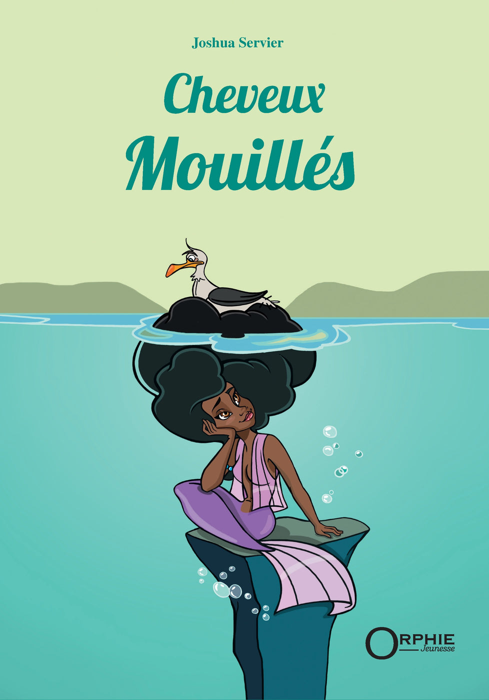 Première de couverture Livre