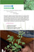 Une femme et des plantes I Éditions Orphie