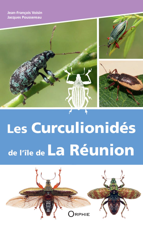 Les Curculionidés de l'île de La Réunion | Éditions Orphie