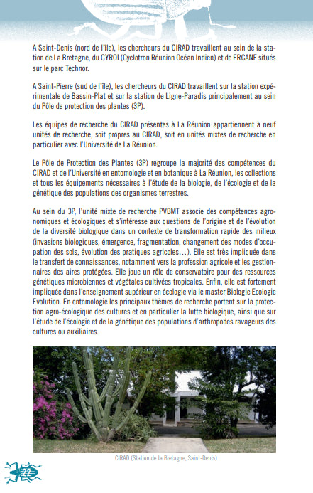 Les Curculionidés de l'île de La Réunion | Éditions Orphie