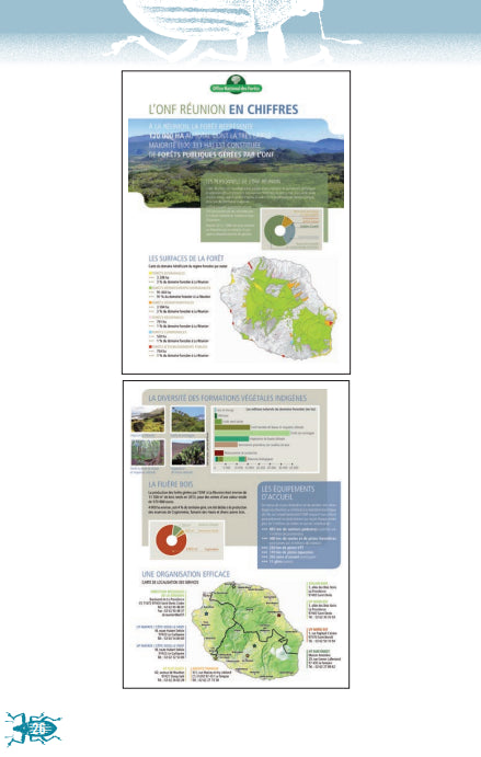 Les Curculionidés de l'île de La Réunion | Éditions Orphie