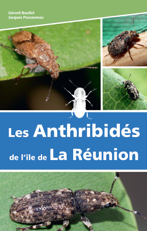Couv Les Anthribidés de l'île de La Réunion | Éditions Orphie