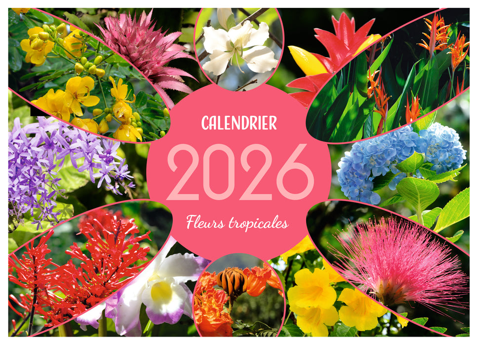 Fleurs tropicales - 2026