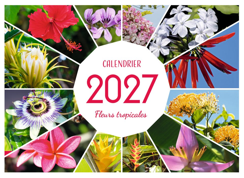 Calendrier Fleurs tropicales 2027