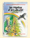 Les pépites d’arc-en-ciel