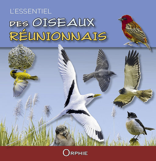 L'essentiel des oiseaux réunionnais - Editions Orphie