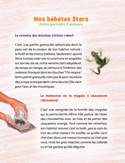La Famille Kipèbèt