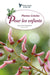 Plantes créoles pour les enfants l Editions Orphie